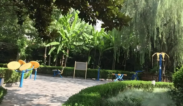 嫡裔